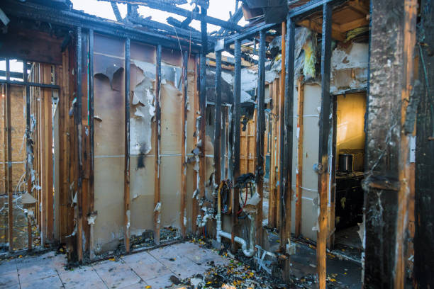 Professional Smoke Odor Removal technician working in Westville, NJ