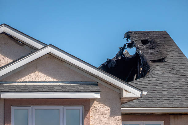 Top rated local Smoke Odor Removal specialists in Westville, NJ